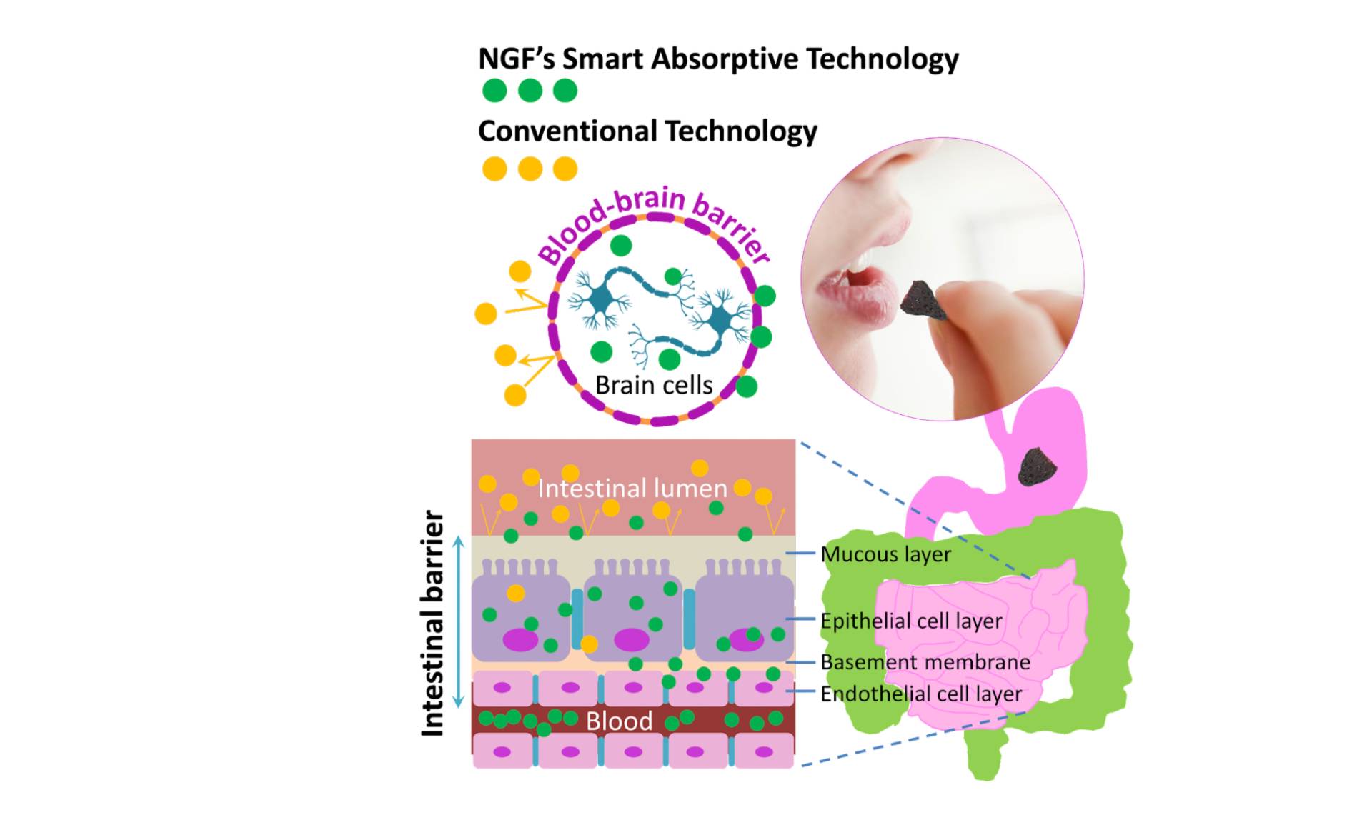 ngf neuro research technology